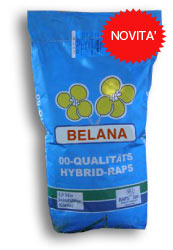 Colza varietà Belana