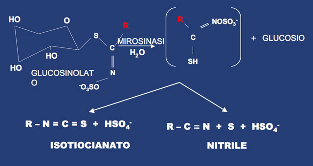 Reazione chimica biocida